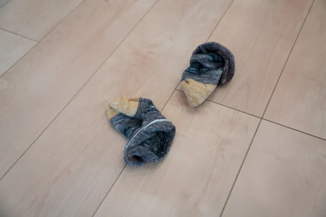 カタツムリ靴下