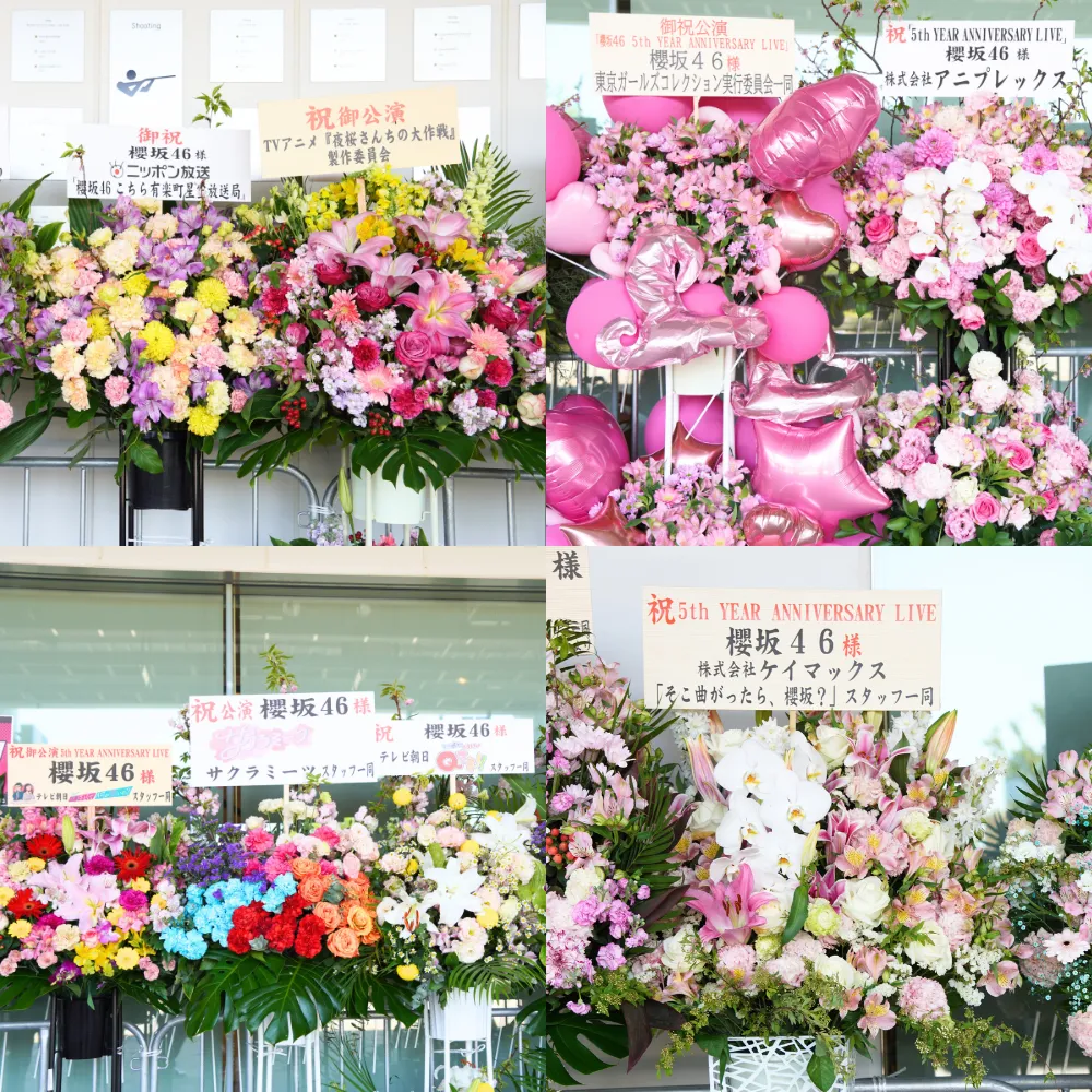 アニラの祝花の画像